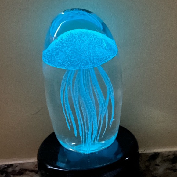 Other - Large Jelly Fish Encased in Glass With LED Display Stand